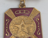 Past Grand Noble Medal Pin International Order of Odd Fellows Lodge I.O.... - $199.90