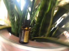 doTERRA Sunny Citrus 15 mL Essential Oil  NEW &amp; SEALED Exp 04/29 - $15.00