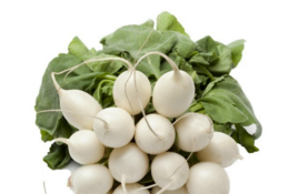 White Radish Seeds 300+ Seeds - £7.84 GBP