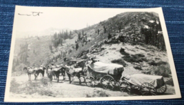 Covered Wagon Horses  RPPC Eastman UNPOSTED B/W Photo Postcard ~883A - £11.41 GBP