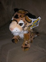 The Petting Zoo Cheetah Plush 8&quot; NWT Spots Ages 3+ 003151 Stuffed Animal All... - £15.57 GBP