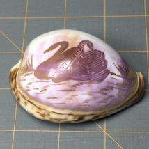 Carved Cowrie Sea Shell - Swans on Lake Scene - 3&quot; X 2&quot; - Lavender Brown... - $16.00