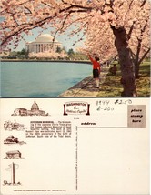 Washington D.C. Jefferson Memorial Japanese Cherry Trees Blossom VTG Postcard - £7.50 GBP