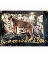 Poster 1990 California Cougar from Mountain Lion Preservation Foundation... - £9.45 GBP