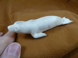 SEAL-w11) little white swimming Seal shed ANTLER figurine Bali detailed ... - £69.47 GBP