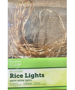 60 Count Rice Light Set String Copper Wire Outdoor By Design 8 Inch - $15.00