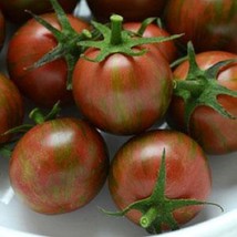 Tomato Seeds 25 Bumble Bee Purple Cherry Tomatoes Gardening USA Shipping - £10.58 GBP