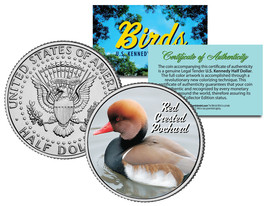 Red Crested Pochard *Collectible Birds* Jfk Half Dollar Colorized U.S. Coin Duck - £6.86 GBP