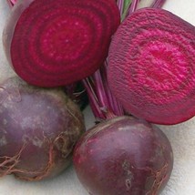 Crosby Egyptian Beet Organic Usa Seller Garden - $4.98