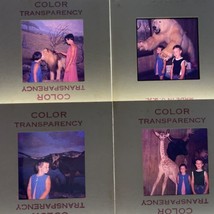 35mm Slides Children Family With Taxidermy Polar Bear Lion Giraffe Cow 1965 - £8.89 GBP