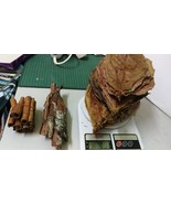 200g CATAPPA INDIAN ALMOND LEAVES + 300G CATAPPA BARK + 200g CINNAMON BA... - $95.00