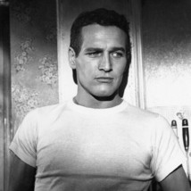 Paul Newman iconic beefcake pose in white t-shirt 1960&#39;s 12x12 inch phot... - $17.99