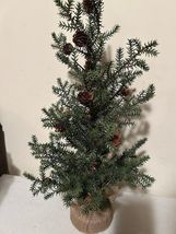 24-inch Small Pine Tree in Burlap Sack - SALE image 2