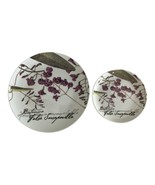 Maxwell & Williams The Gardens Table Botanic Plates – False Sarsaparilla – 2007 - $22.50