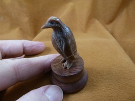 (TB-PENG-1) little tan Penguin shed ANTLER figurine Bali detailed ice bird - £37.48 GBP
