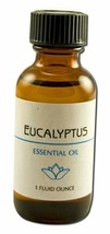Lotus Light Pure Essential Oils - plain label Eucalyptus 1 oz - £10.21 GBP