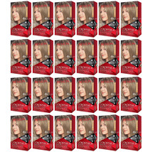 Pack of (24) New Revlon ColorSilk Permanent Color, Dark Ash Blonde 60 - £84.13 GBP