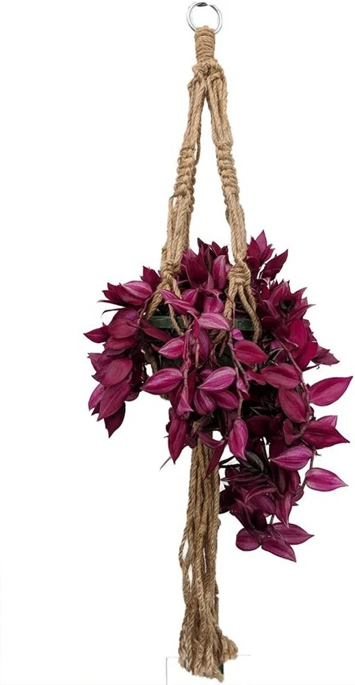 Organic Heirloom Macrame Jute Natural Model 30 Hanger Hold Indoors-Live ... - $613.75 MXN