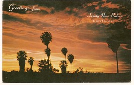 Twenty nine Palms Oasis California Postcard Unused - £4.57 GBP