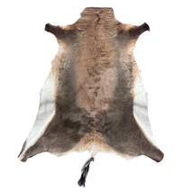 Juvenile Blesbok Skin - Deer Leather Rug Deer Skin for Pillows, Wallets ... - $78.21