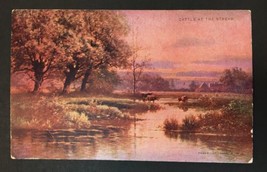 CATTLE AT THE STREAM ARTIST R. HILL POSTCARD 1903 Undivided Back - £5.53 GBP
