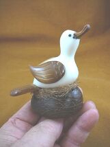 (TNE-BIR-DU-648A) Duck on nest duckling TAGUA NUT palm figurine ducks - $31.19