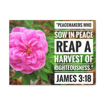  Harvest Of Righteousness James 3:18 Bible Verse Canvas Christia - £60.74 GBP+
