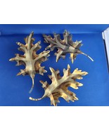 3 Vintage Gold Tone Metal Maple Leaves - 8 in - Home Wall Decor Fall/Autumn - $27.45 CAD