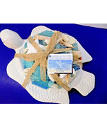 NEW GC Coastal Sea Turtle Figurine Scented Seashells Holder GC Home Decor - £21.35 GBP