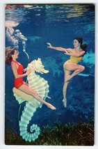 Weeki Wachee Florida Postcard Two Swimsuit Mermaids Underwater Seahorse Chrome - £8.55 GBP
