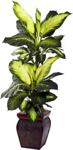 Golden Dieffenbachia With Green Decorative Planter That Is Nearly Natural. - £67.33 GBP