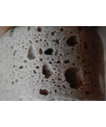 sourdough starter from san francisco wharf old active very sour pulveriz... - $7.75