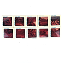 Vintage Pana Vue Slides Sunken Gardens Florida Lot of 10 Slides Bougainv... - £13.61 GBP