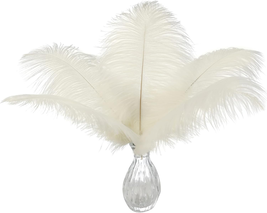 Ballinger Beige Ostrich Feathers Bulk - 24Pcs 10-12Inch Boho Feathers for Vase，W - $22.51