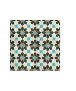 Mexican Mission Cement Tile Handcrafted 10 sqf - Maroc - 8x8" - $199.00