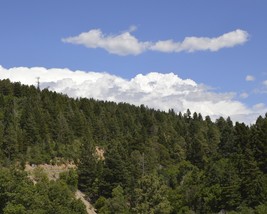 Clouds over Lincoln National Forest near Cloudcroft New Mexico Photo Print - $8.81+