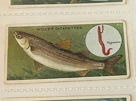 WD HO Wills Cigarettes Tobacco Trading Card 1910 Fish Bait Lure Grey Mul... - $19.69