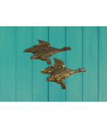 Pair of Brass Geese Duck Bird Wall Hangings - £28.02 GBP