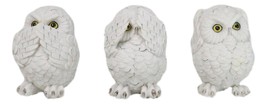 Wisdom Of The Forest See Hear Speak No Evil White Snowy Owls Mini Figuri... - £14.33 GBP
