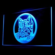 210058B Cat British Shorthair Lovers Pet Shop Wash Play Delivery LED Light Sign - £17.35 GBP