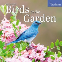 Audubon Birds in the Garden Wall Calendar 2026 - $17.00