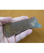 DF303-14 Fossil REAL 4-1/8&quot; DINOSAUR Bone Slice Jurassic Dino love dinos... - $23.36