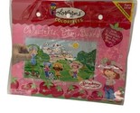 DIC Strawberry Shortcake Colorfelts Playboard with Felts and Case Vintag... - £17.65 GBP