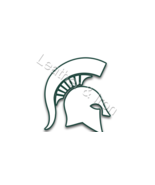 New Michigan State Spartans Vinyl Checkbook Cover - £6.88 GBP