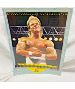 WWF Magazine The Narcissist Lex Luger Poster/Calendar August 1993 - WCW ... - $15.40 CAD