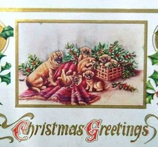 Christmas Postcard Embossed Pug Dog And Puppies Original Antique Unused Vintage - £27.72 GBP