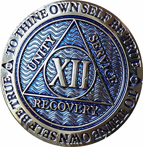 12 Year AA Medallion Dusty Blue Color Gold Plated Chip XII