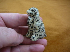 (Y-DOG-CS-703) COCKER SPANIEL white black dog SPOTTED gemstone gem stone... - £13.79 GBP