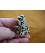 (Y-DOG-CS-703) COCKER SPANIEL white black dog SPOTTED gemstone gem stone... - £13.96 GBP