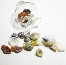 Tiny Seashells Glass Bowl Dollhouse Miniatures by Beth #FB1-6 - £15.62 GBP
